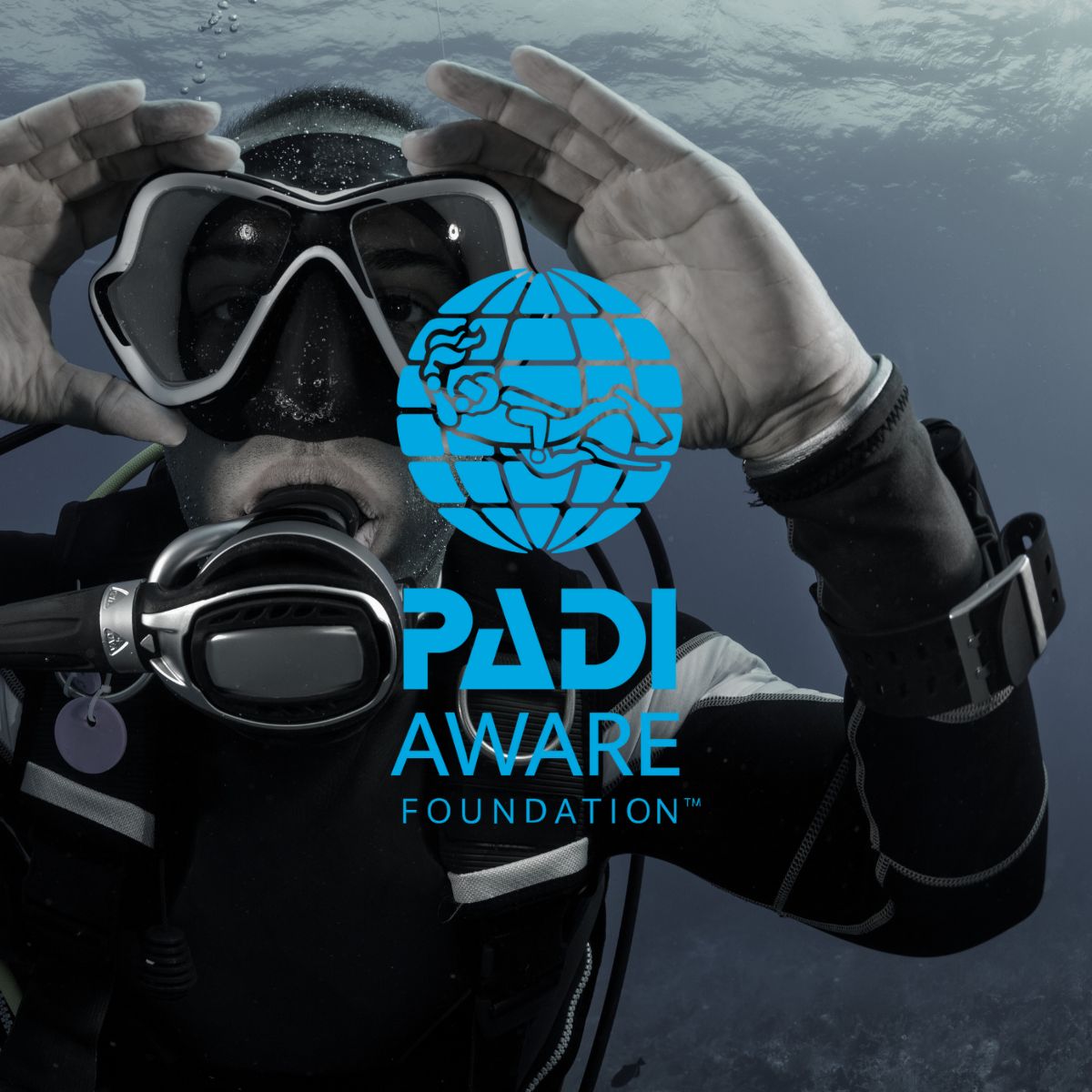 Kolibri Partners with PADI AWARE to Protect Our Oceans: Part 2 - Divers Are The Eyes